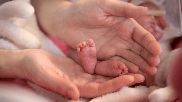 Baby Füße in Händen der Eltern 