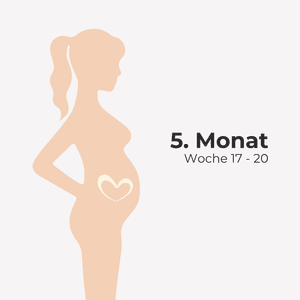 5. Monat