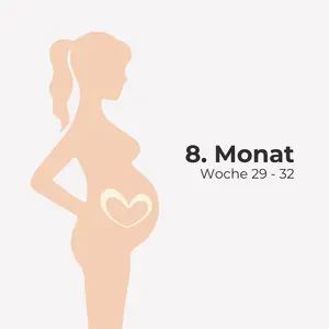 8. Monat