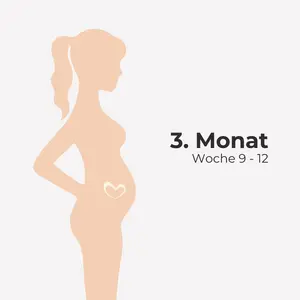 3. Monat