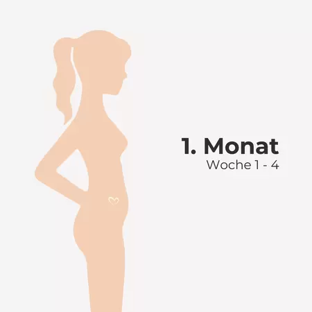 1. Monat