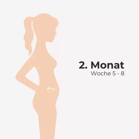 2. Monat