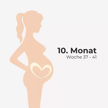 10. Monat