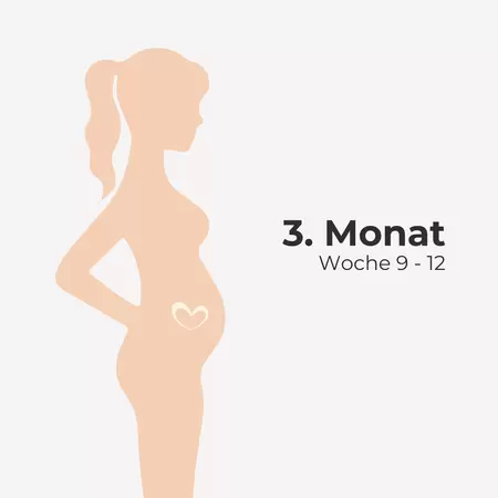 3e maand