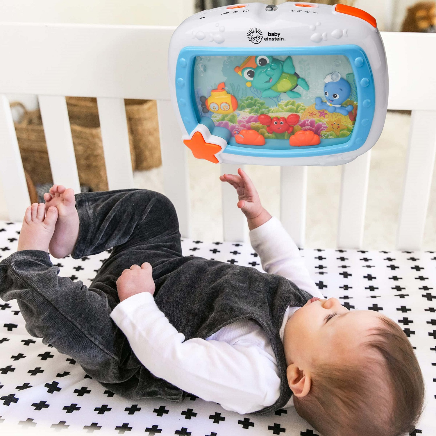 Baby einstein aquarium batteries online