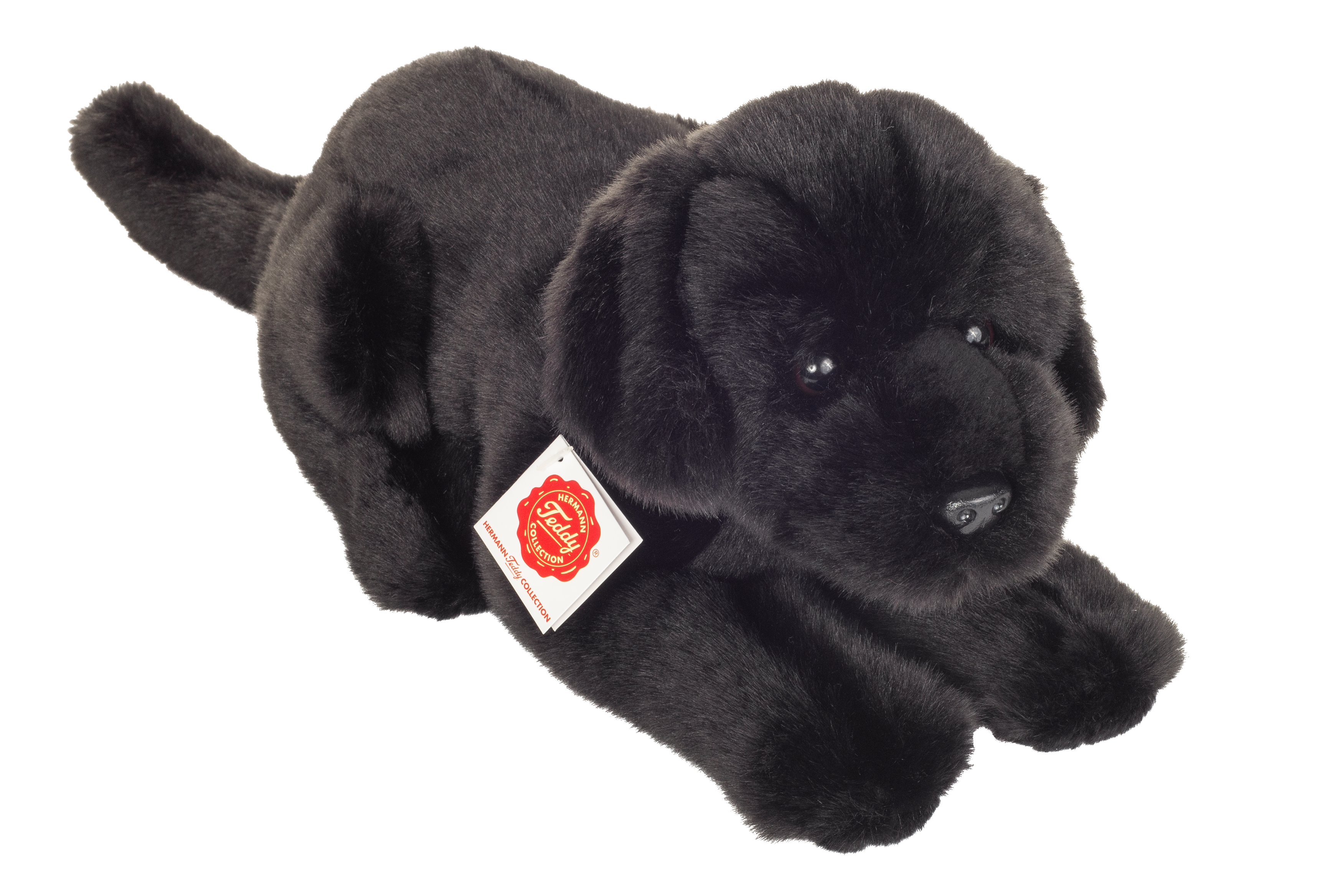 Black labrador teddy new arrivals
