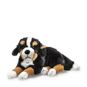 Berner Sennenhund Senni 45 cm