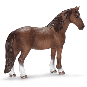 Tennessee Walker Sto 13713