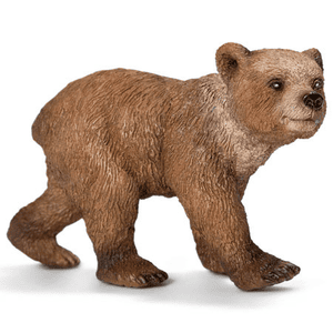 Jeune ours Grizzly 14687