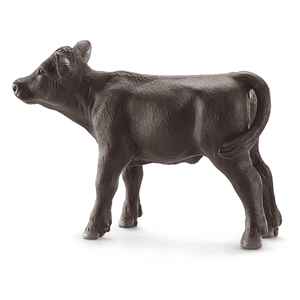 Aberdeen Angus -vasikka 13768