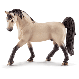 Ogier Tennessee Walker 13789