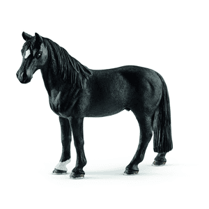 Tennessee Walker 13832