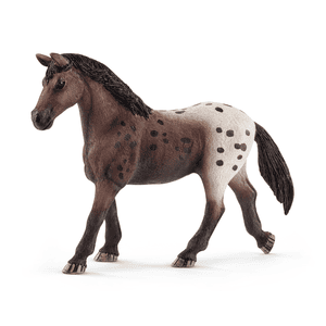 Yegua Appaloosa 13861