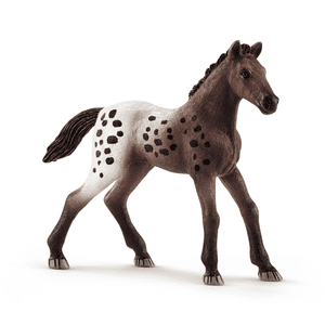 Appaloosa-føl 13862