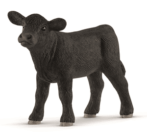 Black Ternera Angus 13880