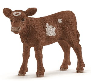 Texas Longhorn Kalv 13881