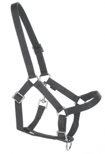 Bride pour cheval enfant de jardin bois, noir