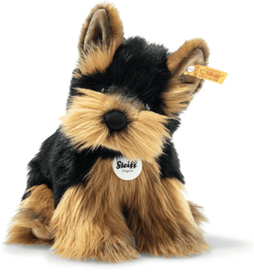 Herkules Yorkshire Terrier, 24 cm