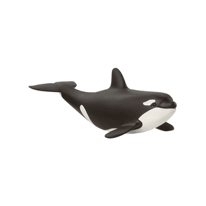 Orca Young 14836