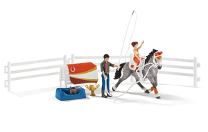 Horse Club Mia equitazione acrobatica 42443