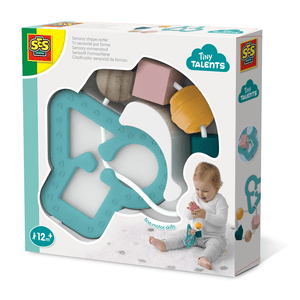 e® Sensor Technology Shape Sorter