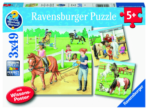 Puzzle WWW: Den na koňské farmě