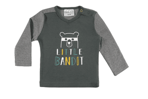 Langarmshirt Wild grey