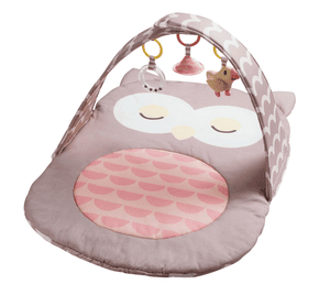 Hape Babygym Uggla Sina