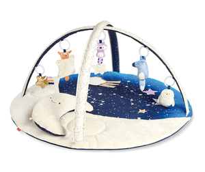 Skip Hop Celestrian Dreams Babygym