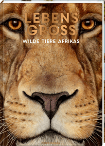 SPIEGELBURG  Lebensgroß - Wilde Tiere Afrikas