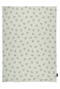 Copertina Teddy 1961, 75 x 100 cm