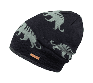 Beanie Thorn navy