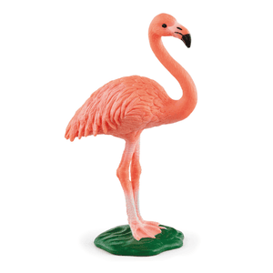 Flamingo, 14849