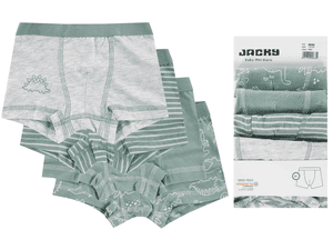 Boxer Panty 4er Pack