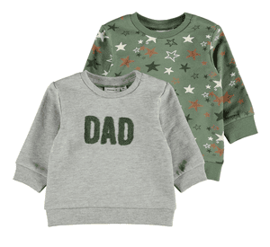 Sweatshirt 2-pack Nbmsteve Agave Green