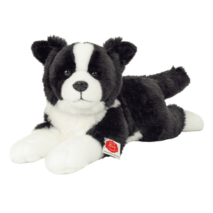 Border Collie ligger 45 cm