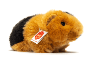 Cavia zwart/goud 20 cm