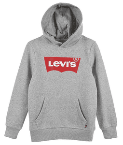 Levi's® Kids Jongens Hoodie Lichtgrijs