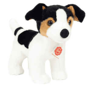 Jack Russell Terrier puppy, 28 cm