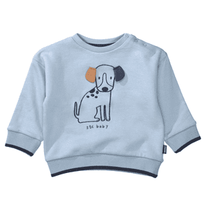 Sweatshirt light blue