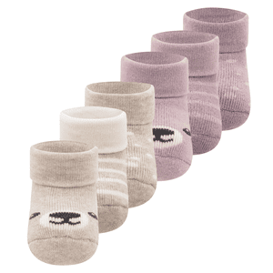 First Time Socks 6 pack Bear Rose Smoke/Latte