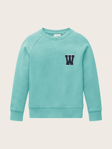 Sweatshirt Raglan Dusty Green