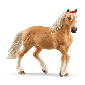 Haflinger sto 13950