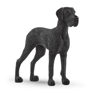 Duitse Dog 13962