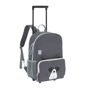 Trolley/Backpack About Friends Racoon