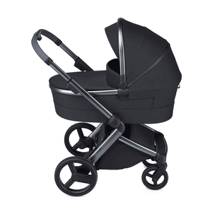 Poussette duo combinée 2en1 l/type onyx