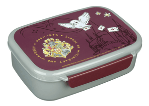 Harry Potter lunch box