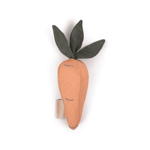 Sonaglio di lino - Carota