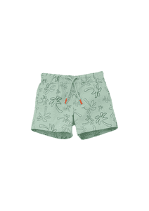 Shorts Salbeigrün