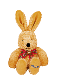 Felix, groot (40 cm)